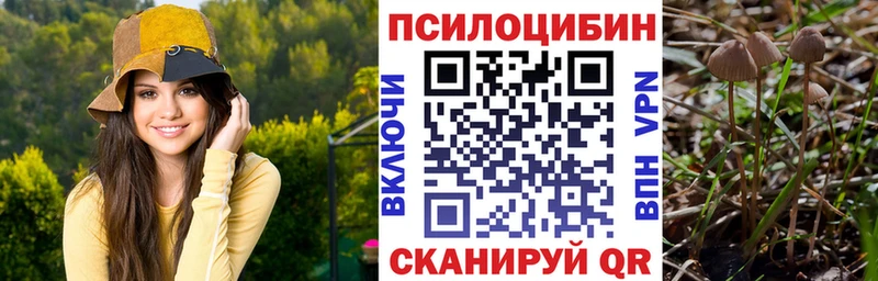Галлюциногенные грибы Psilocybine cubensis  KRAKEN сайт  Тотьма 