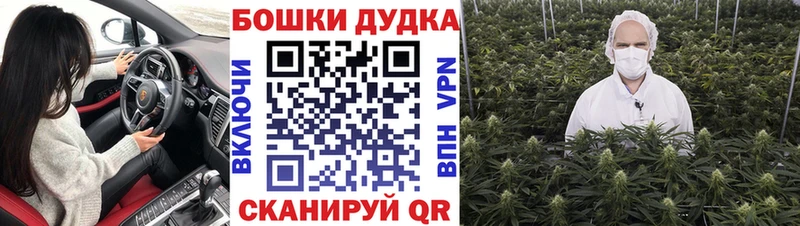 Конопля семена  даркнет сайт  Тотьма 
